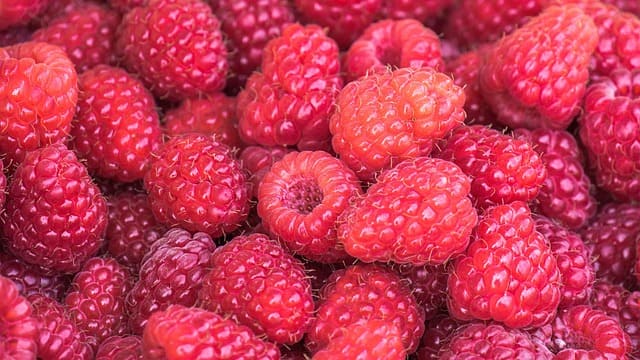 FOODS THAT HELP BEAT THE BLOAT 7 Berries